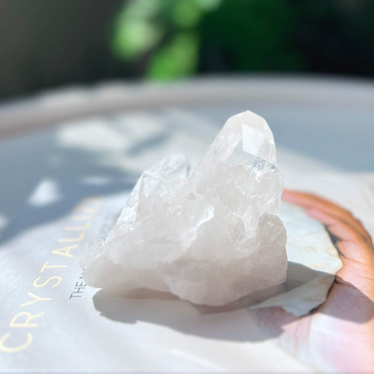 Clear Quartz Cluster 白水晶