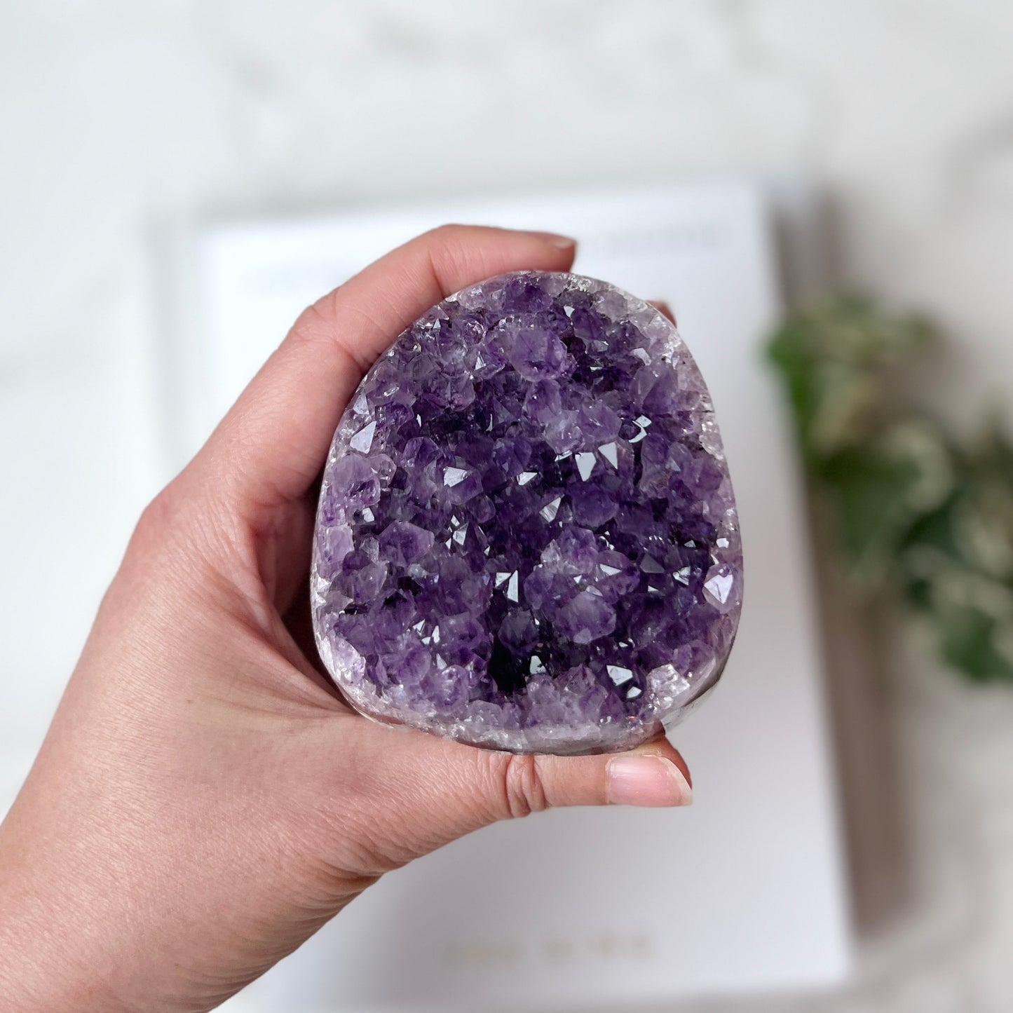 Amethyst Cut Base 紫水晶