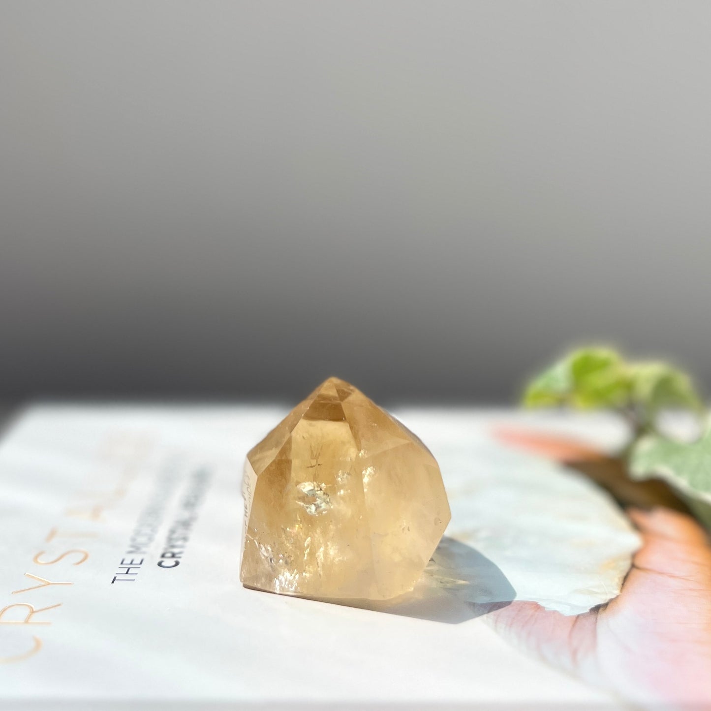 Natural Citrine Point 天然黃水晶
