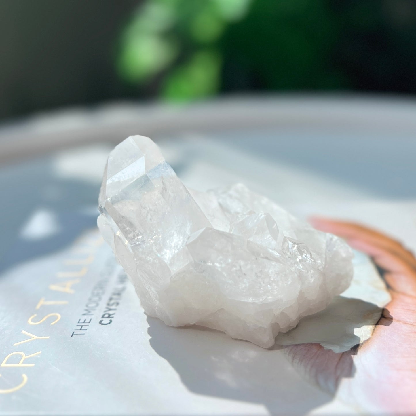 Clear Quartz Cluster 白水晶