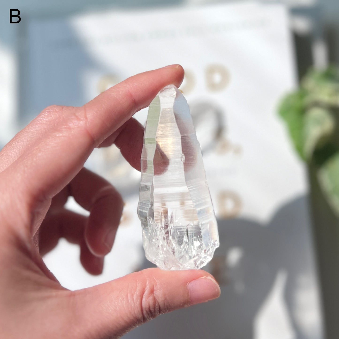 Lemurian Quartz Point 雷姆利亞水晶