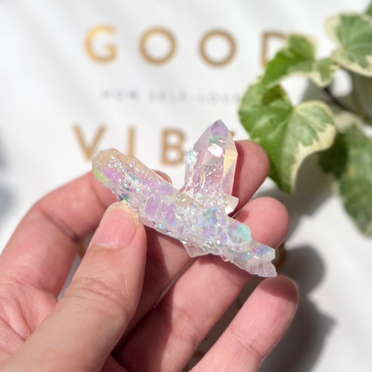 Angel Aura Quartz Cluster 天使光水晶