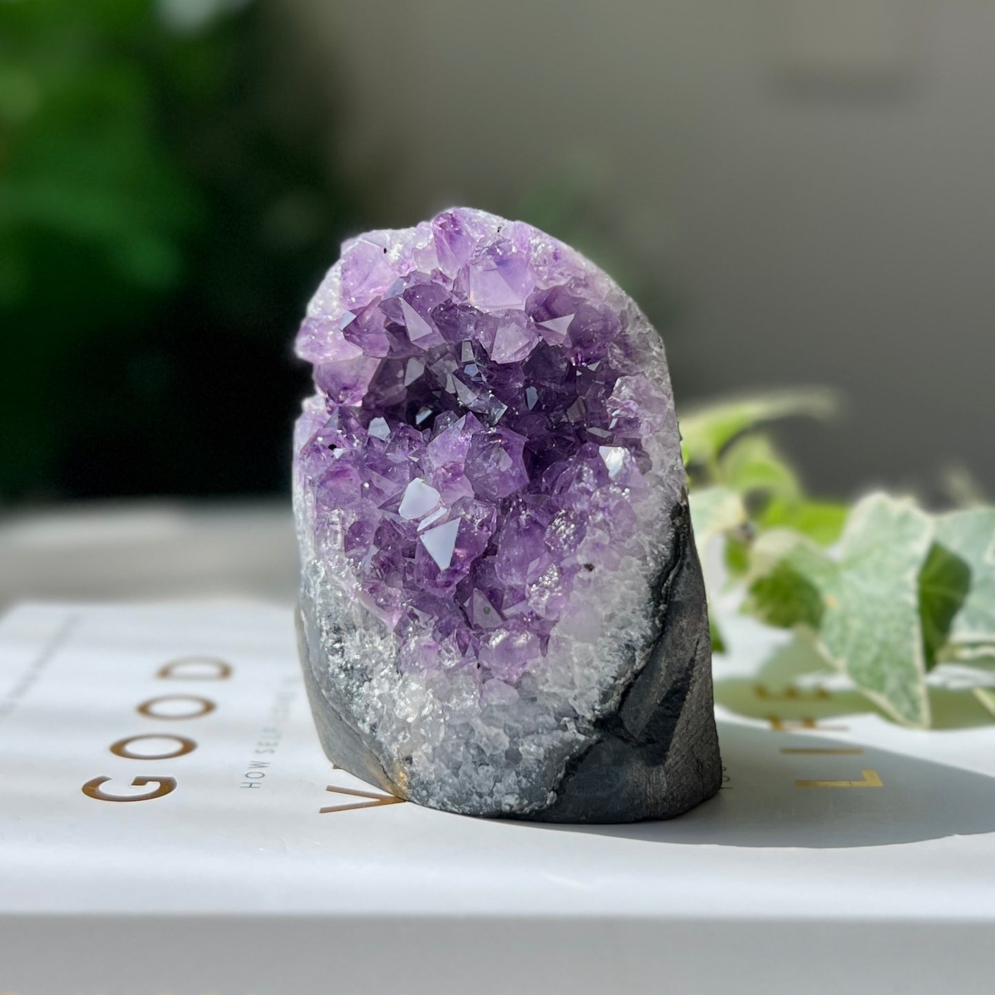 Amethyst Cut Base 紫水晶