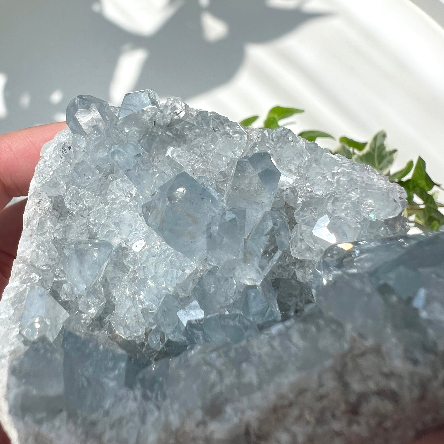 Celestite Cluster 天青石