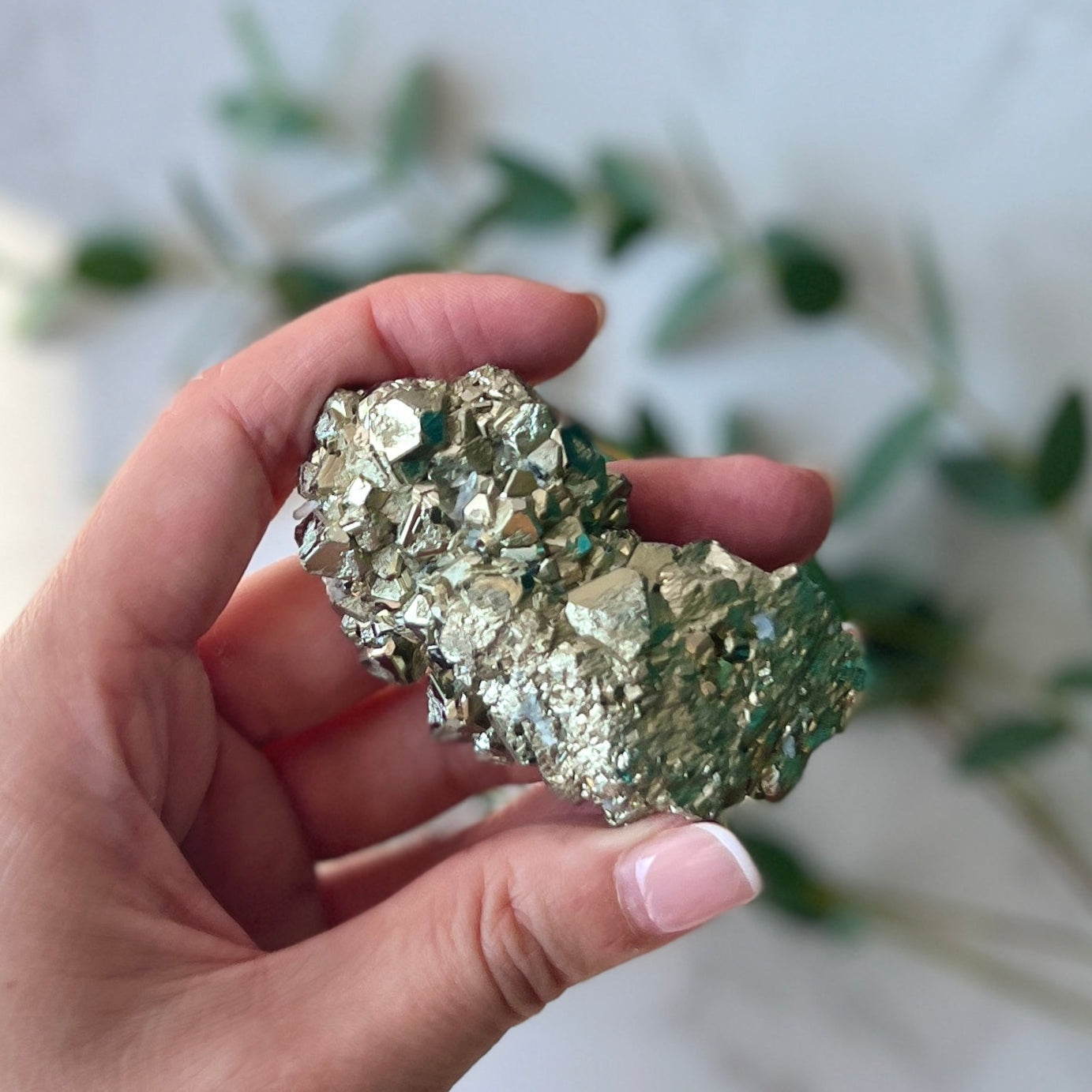 Pyrite Cluster 黃鐵礦