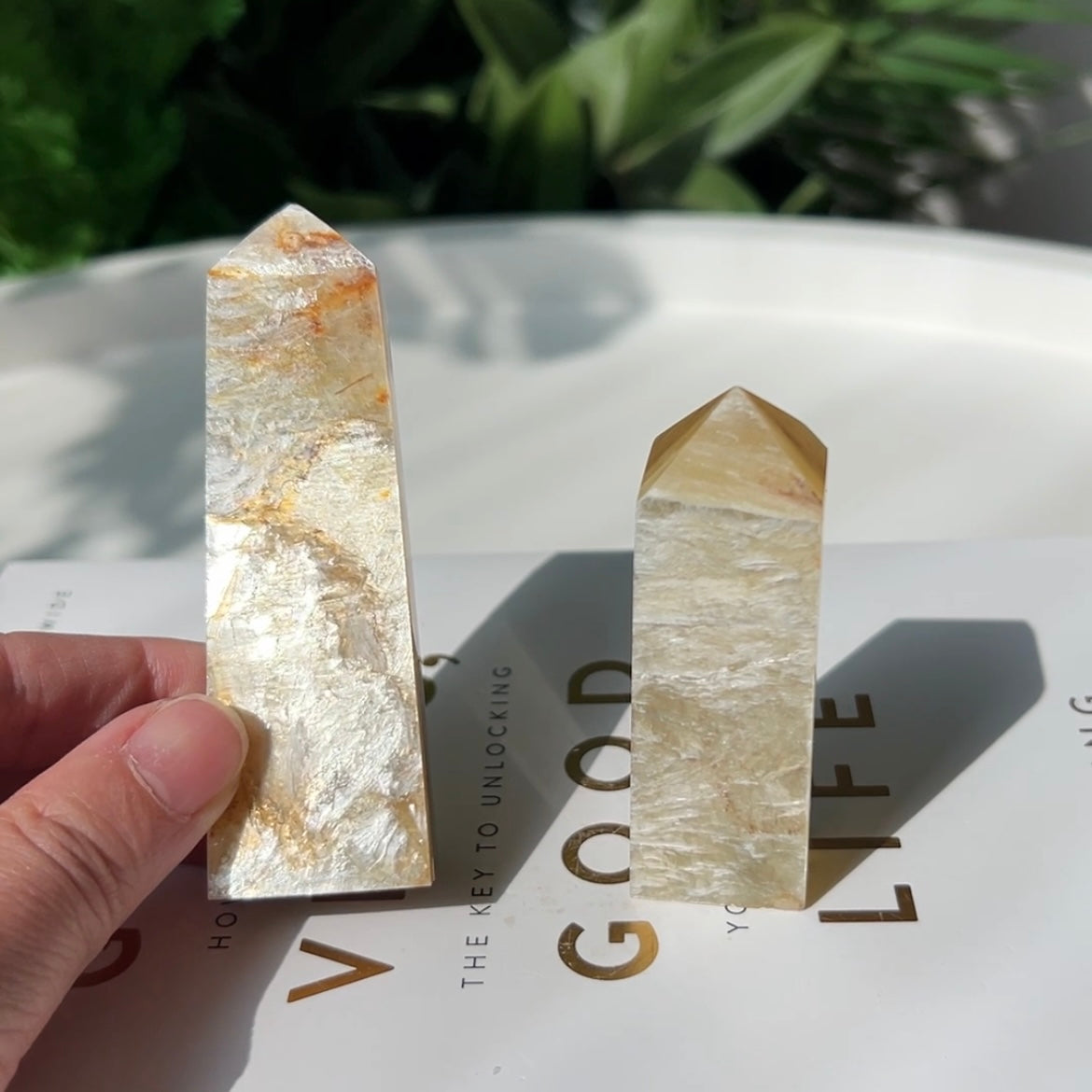 Golden Mica Point 金雲母