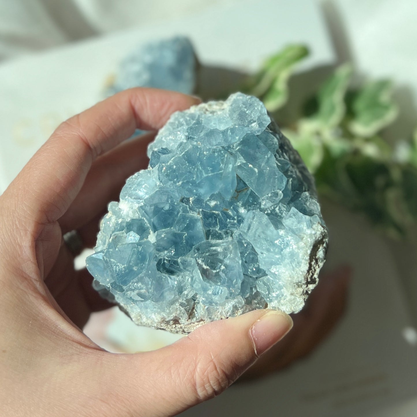 Celestite Cluster 天青石