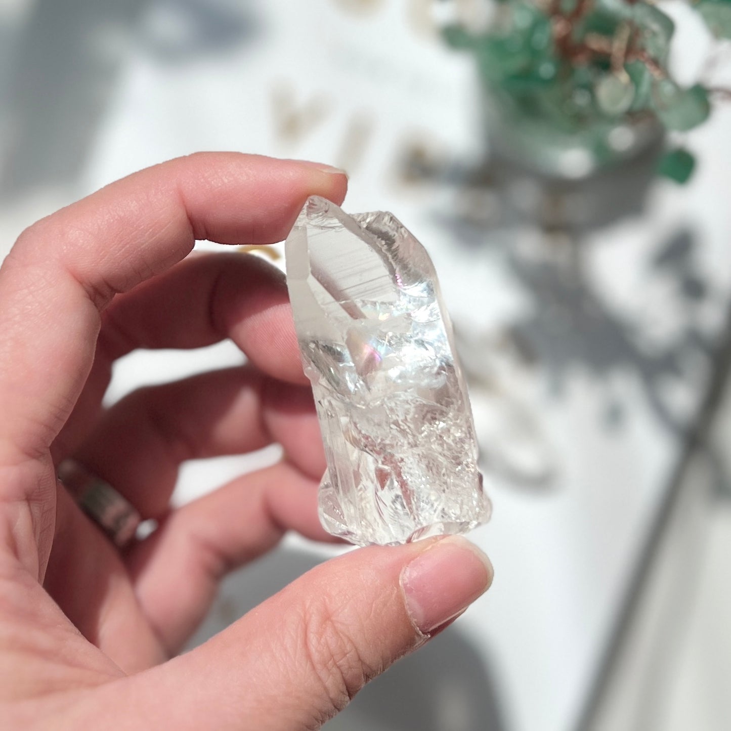 Lemurian Quartz Point 雷姆利亞水晶