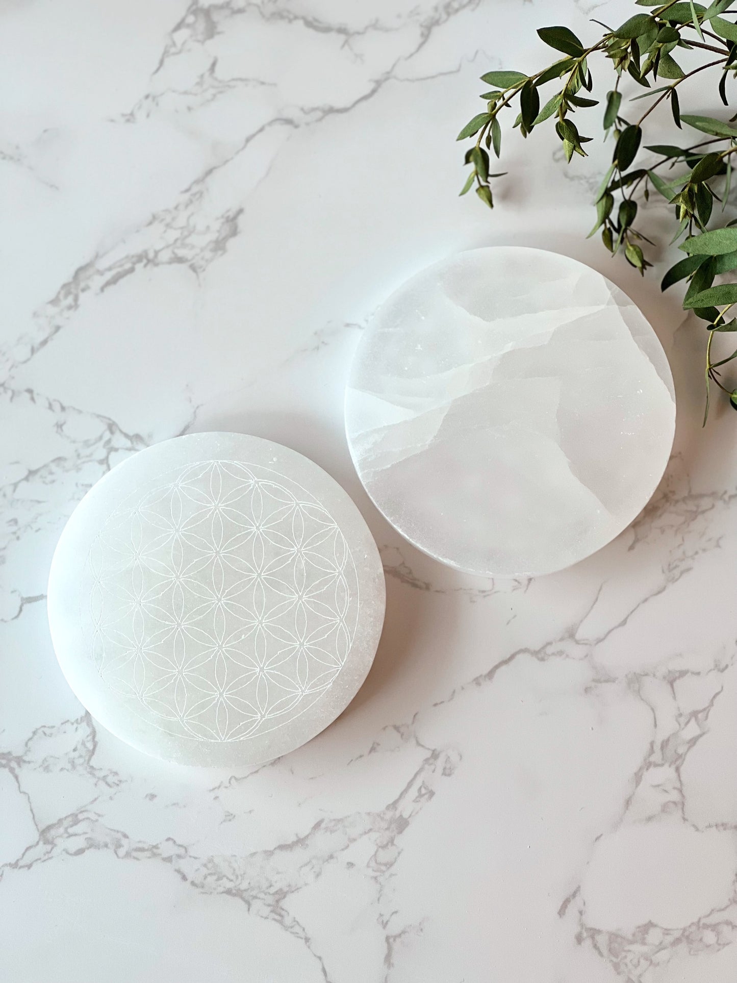 Selenite Charging Plate - Flower of Life 透石膏