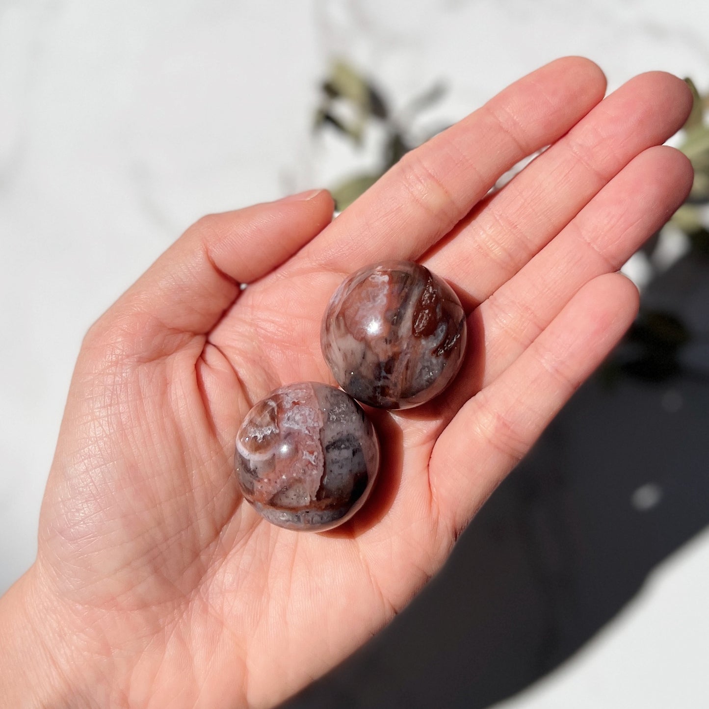 Petrified Wood Sphere 石化木