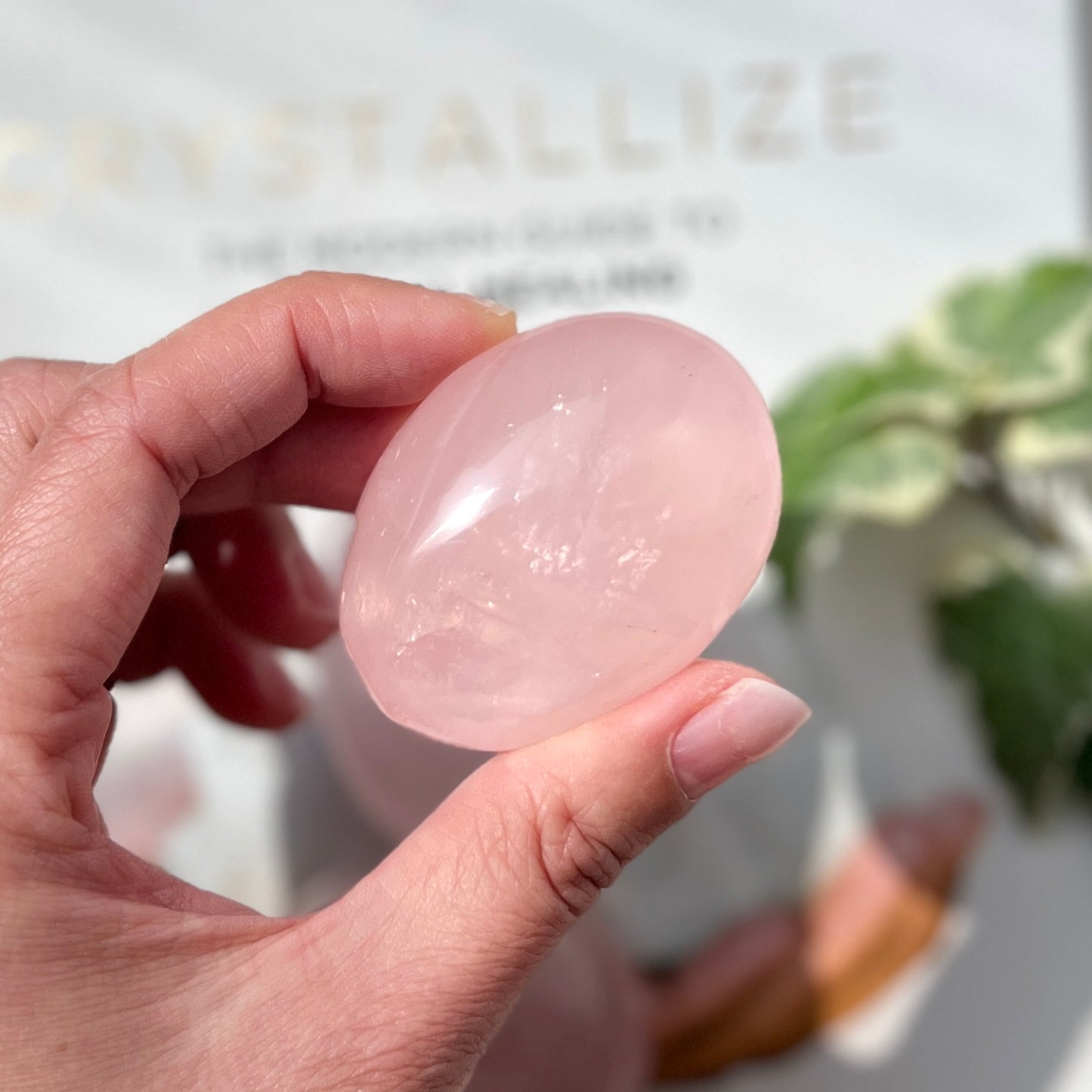Rose Quartz Palm Stone 粉晶