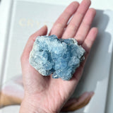 Celestite Cluster (CE-022)