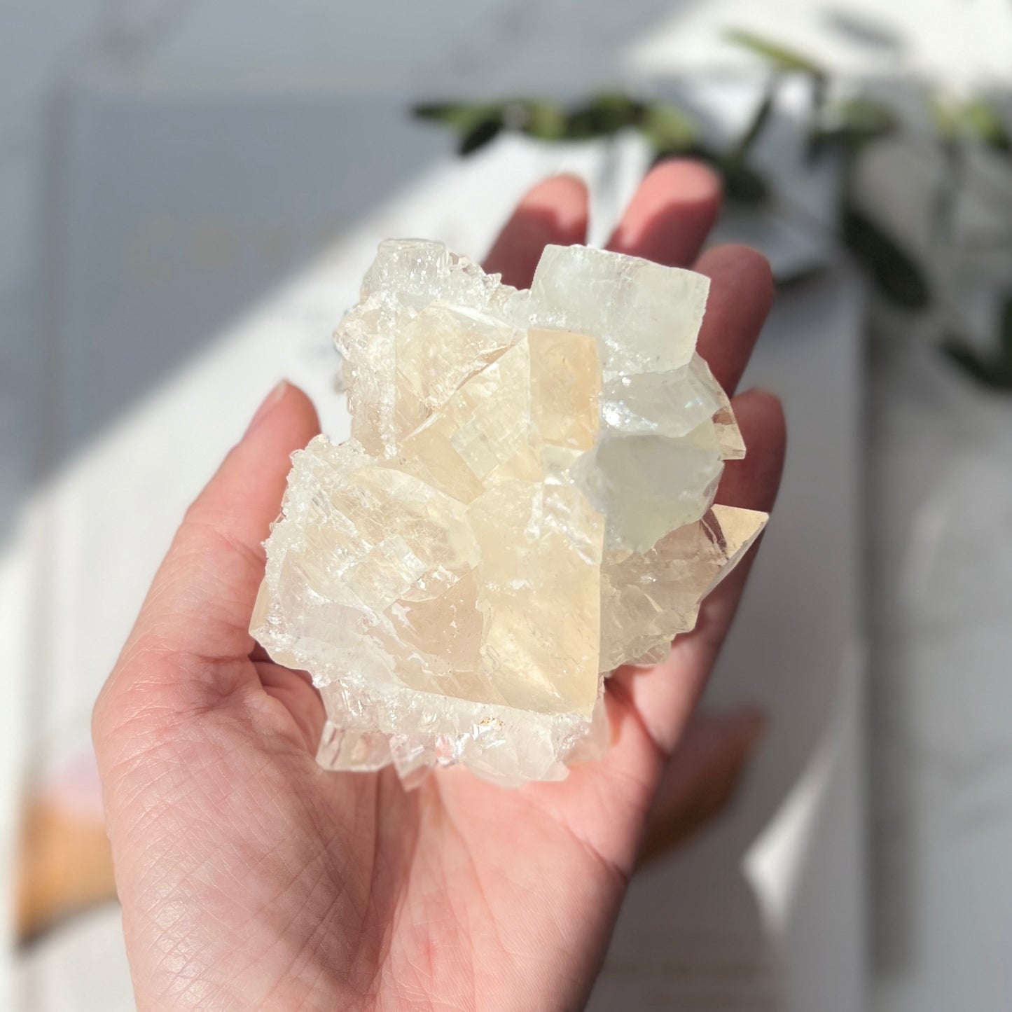Apophyllite Cluster 魚眼石
