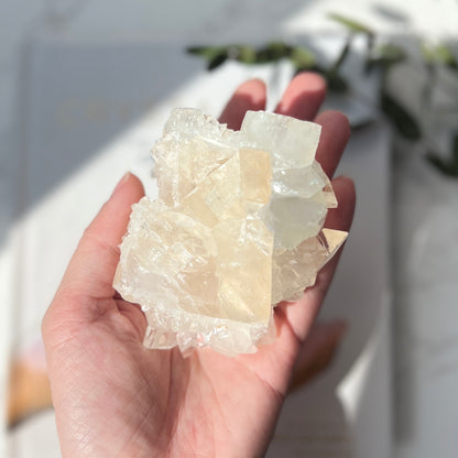 Apophyllite Cluster 魚眼石