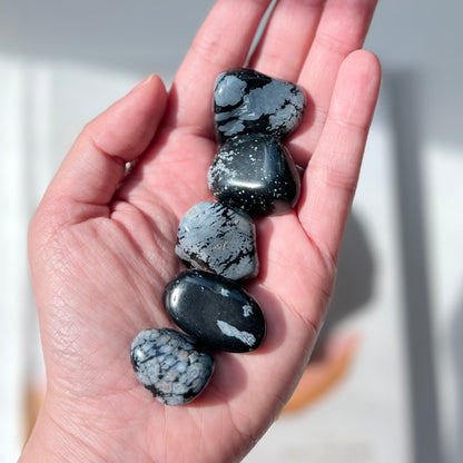 Snowflake Obsidian Tumble Stone 2-3cm 雪花黑曜石