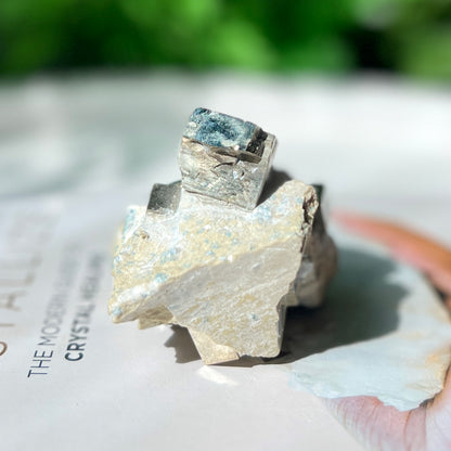Pyrite Cubes in Matrix 黃鐵礦