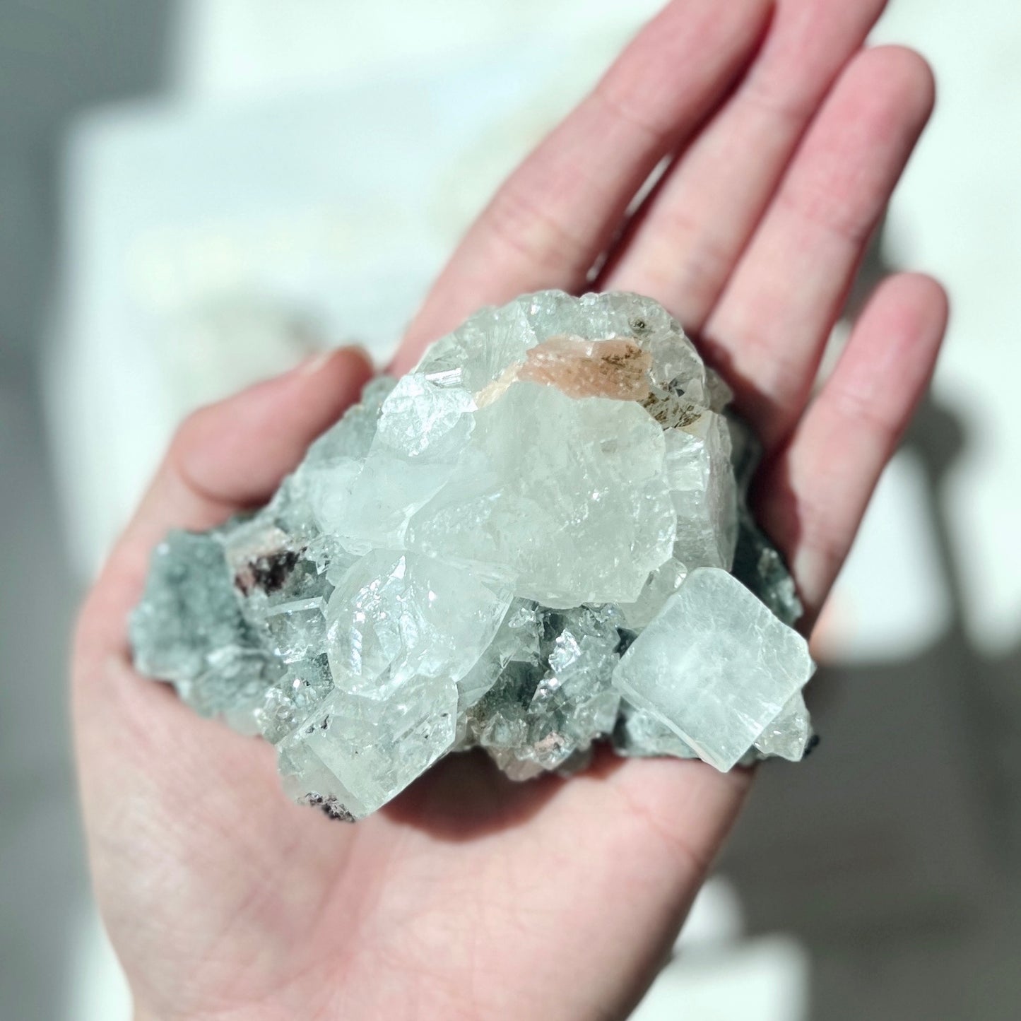 Apophyllite Cluster 魚眼石