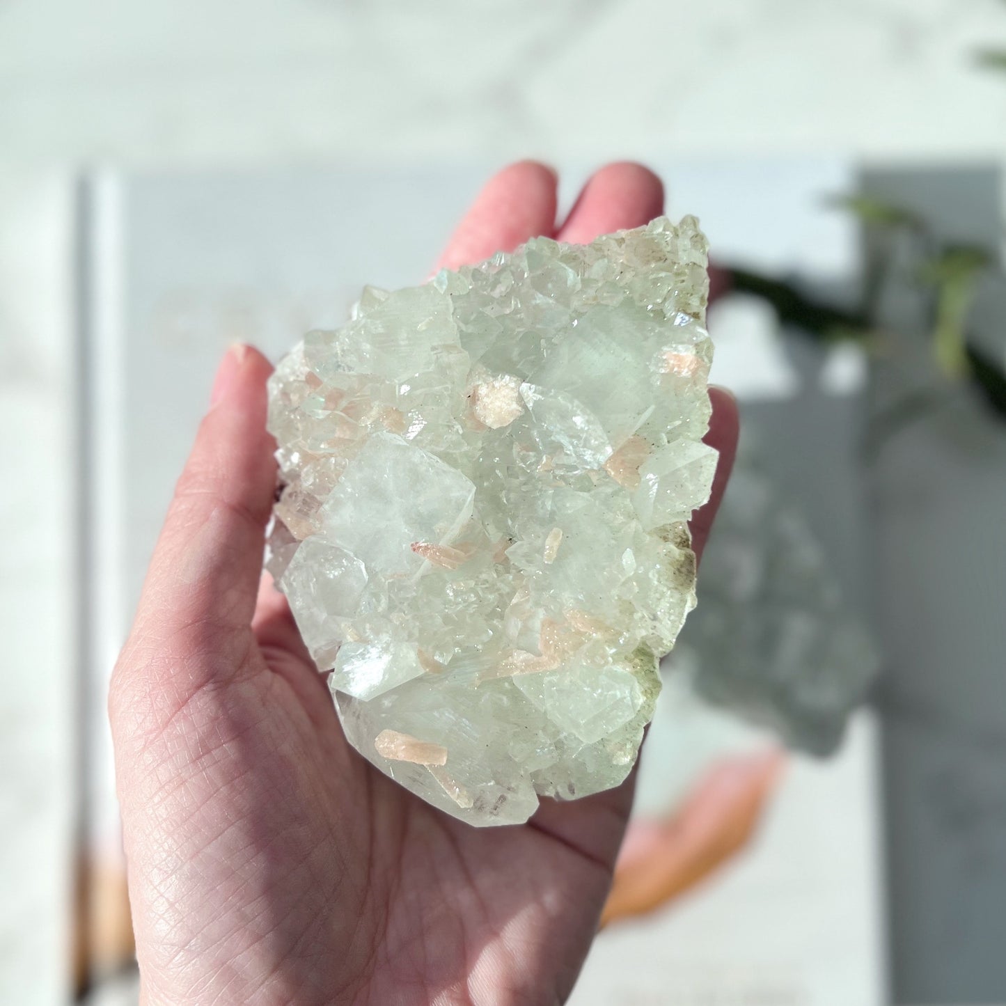 Apophyllite Cluster 魚眼石