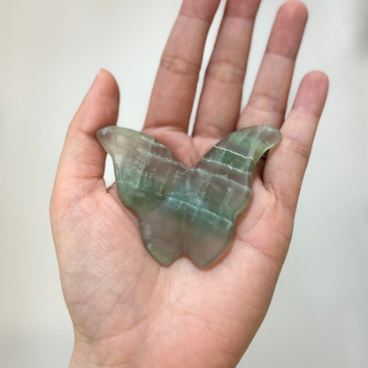 Fluorite Butterfly (FL-031)