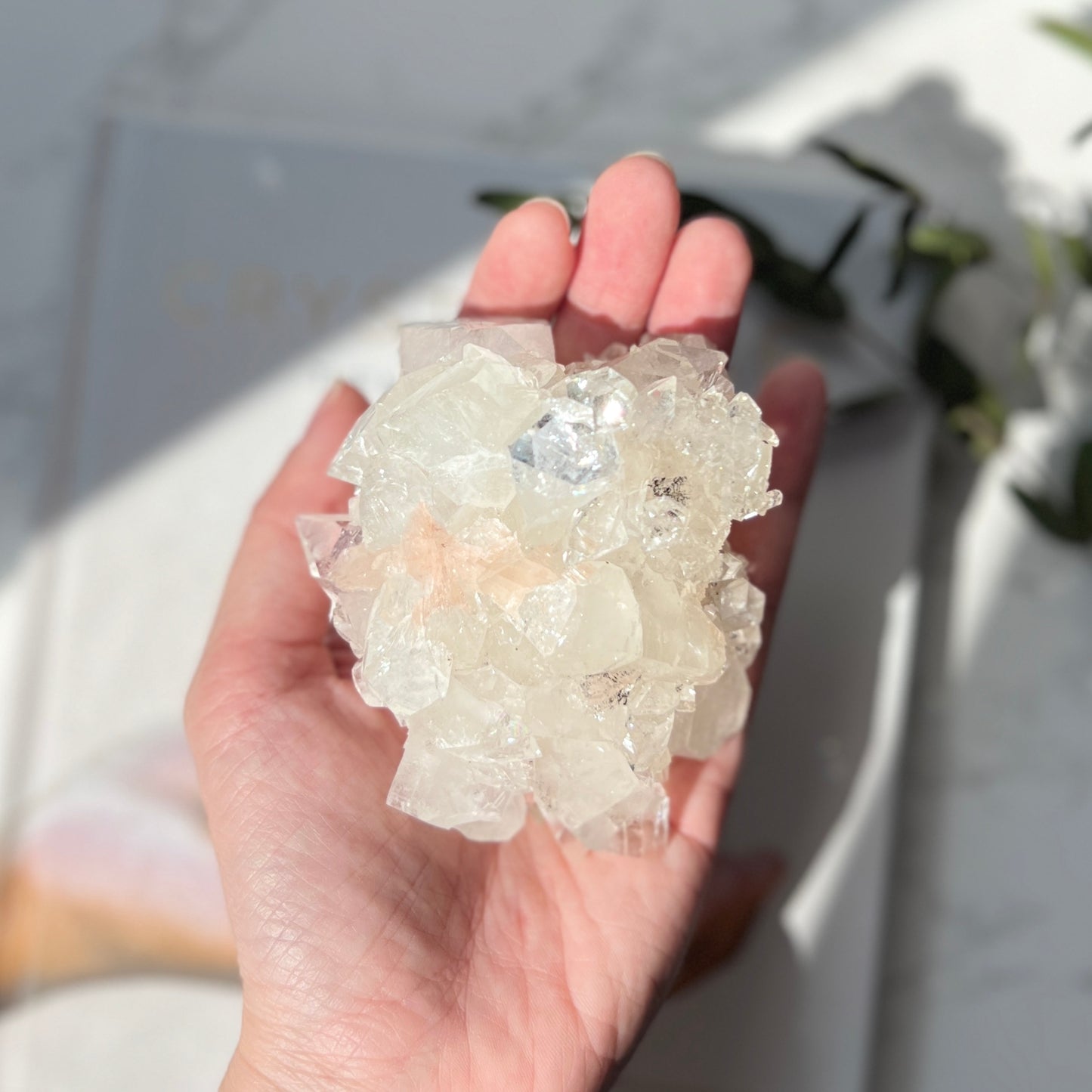 Apophyllite Cluster 魚眼石