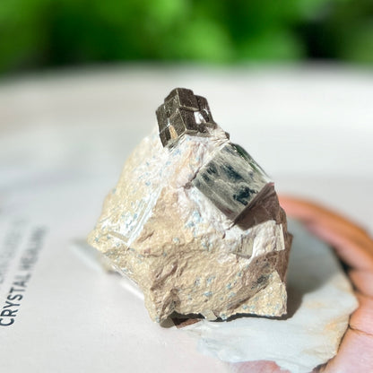 Pyrite Cubes in Matrix 黃鐵礦