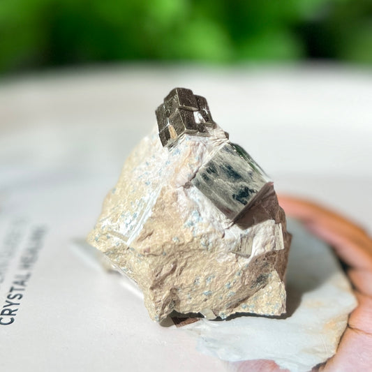 Pyrite Cubes in Matrix 黃鐵礦