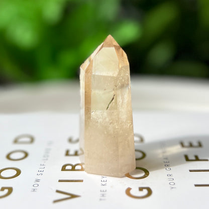 Natural Citrine Point 天然黃水晶