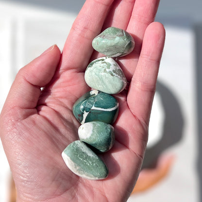 Green Sardonyx Tumble 2-3cm 綠纏絲瑪瑙