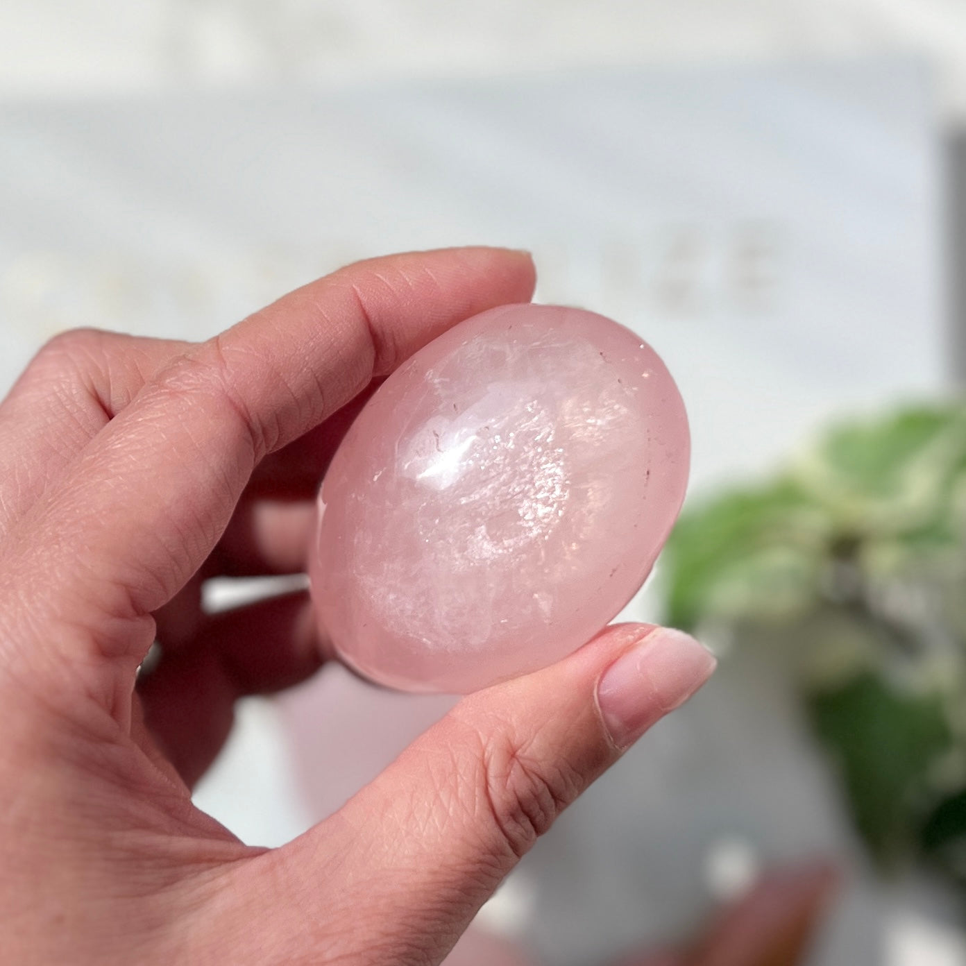 Rose Quartz Palm Stone 粉晶