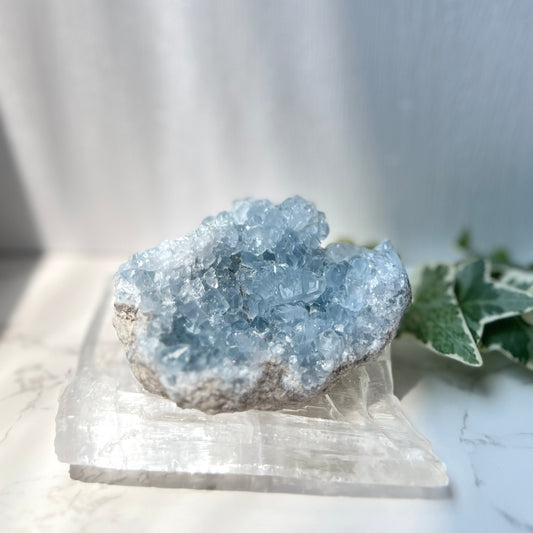 Celestite Cluster 天青石