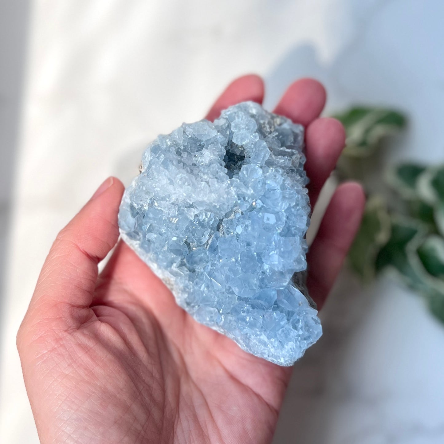 Celestite Cluster 天青石