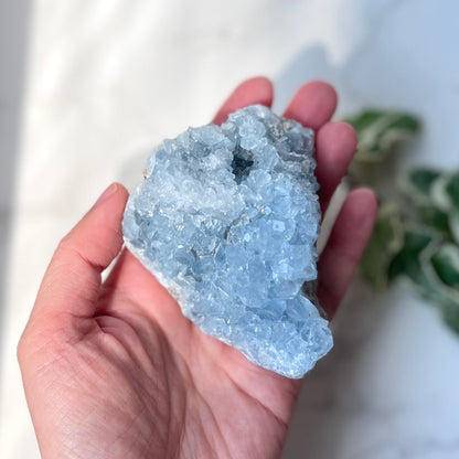Celestite Cluster 天青石