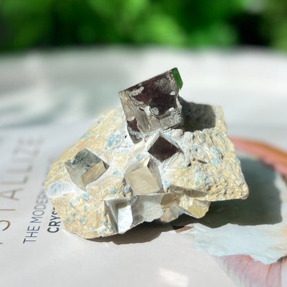 Pyrite Cubes in Matrix 黃鐵礦