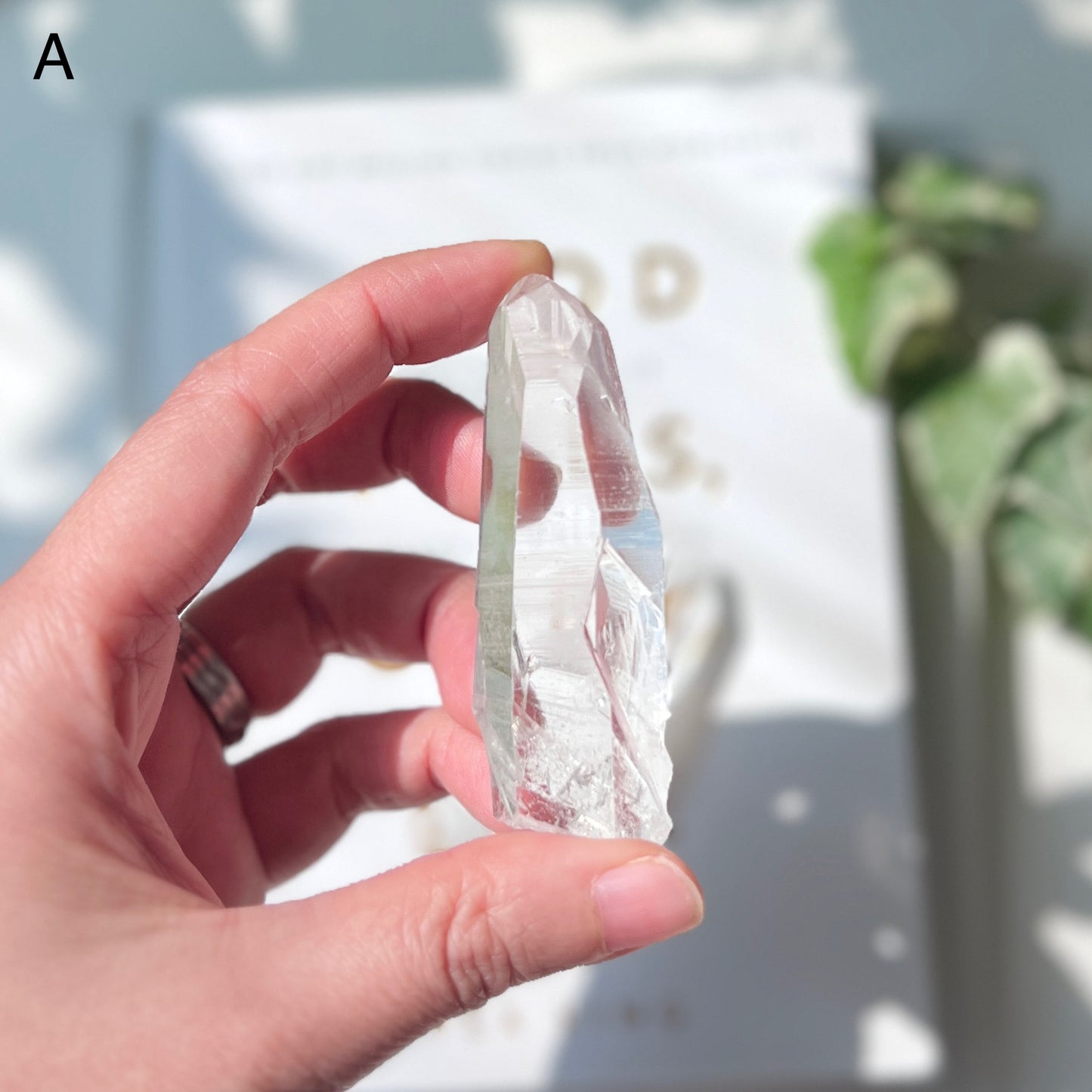 Lemurian Quartz Point 雷姆利亞水晶