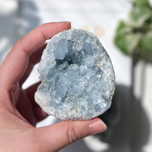 Celestite Cluster 天青石