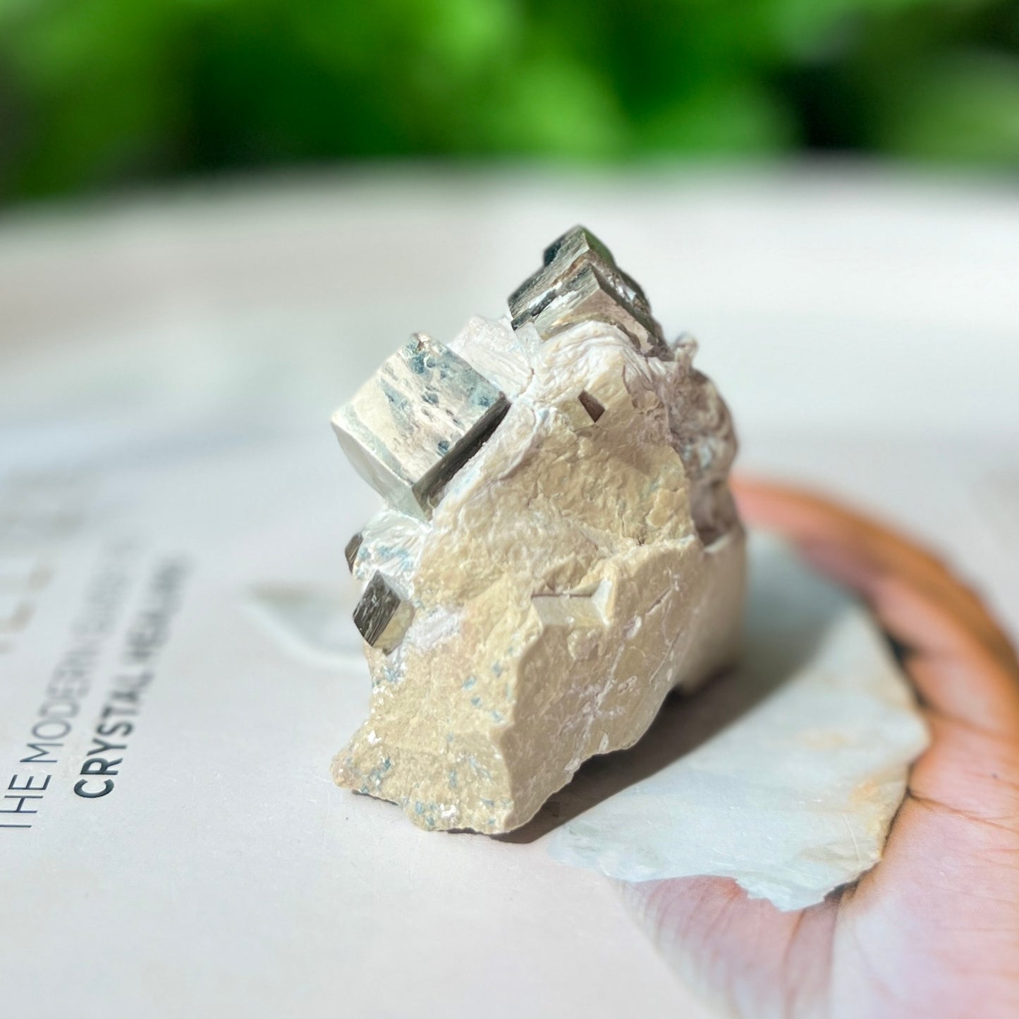 Pyrite Cubes in Matrix 黃鐵礦