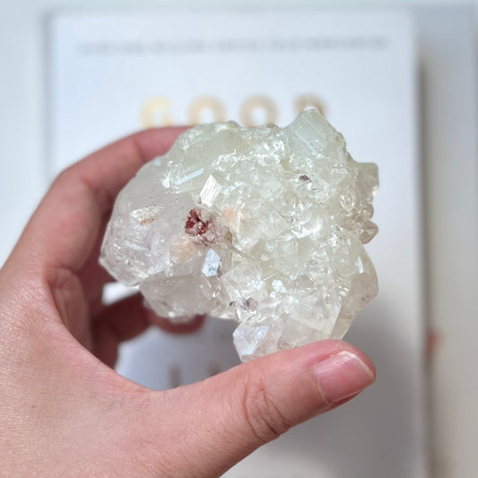 Apophyllite Cluster 魚眼石