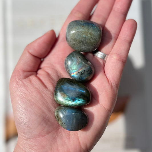 Labradorite Tumble 2-3cm 拉長石