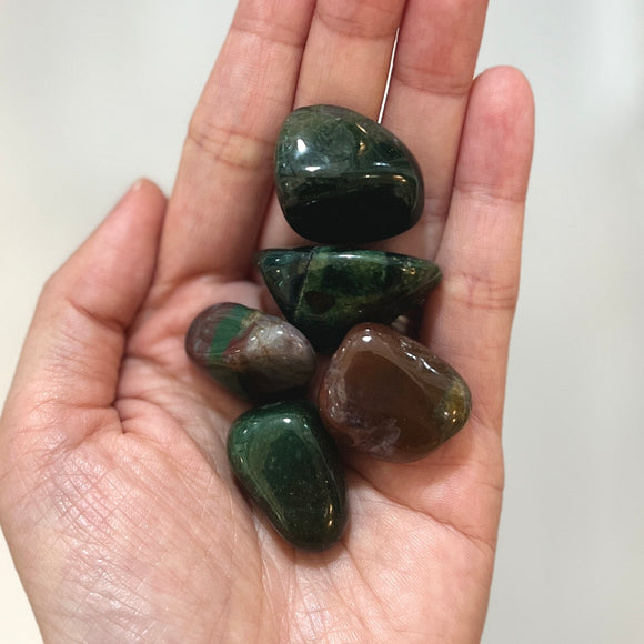 Bloodstone Tumble Stone 2-3cm (BS-TS01)