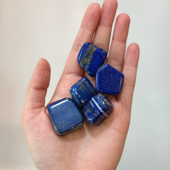 Lapis Lazuli Tumble Stone (LL-TS03)