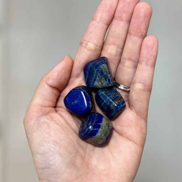 Lapis Lazuli Tumble Stone (LL-TS02)