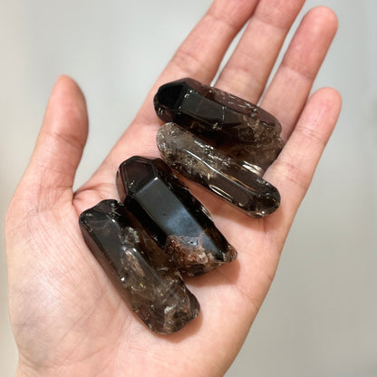 Smoky Quartz with Hematite Tumble Points 茶晶