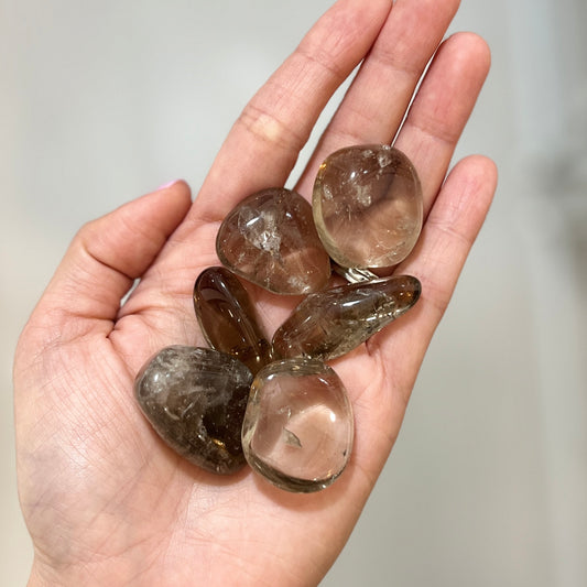 Smoky Quartz Tumble Stone 2-3cm 茶晶
