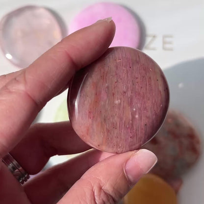 Petrified Wood Palm Stone 石化木