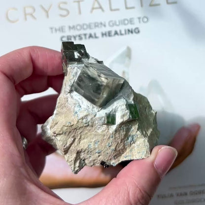 Pyrite Cubes in Matrix 黃鐵礦