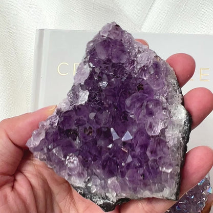 Amethyst Cluster 紫水晶
