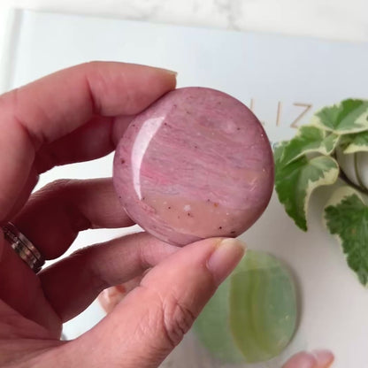 Petrified Wood Palm Stone 石化木