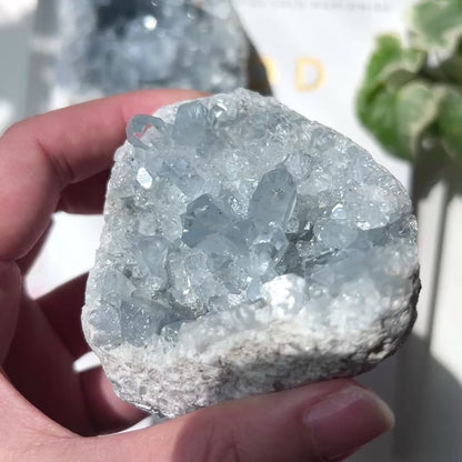 Celestite Cluster 天青石