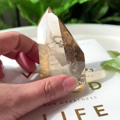 Natural Citrine Point 天然黃水晶