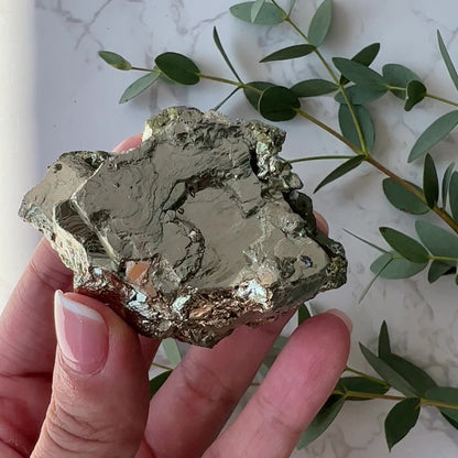 Pyrite Cluster 黃鐵礦